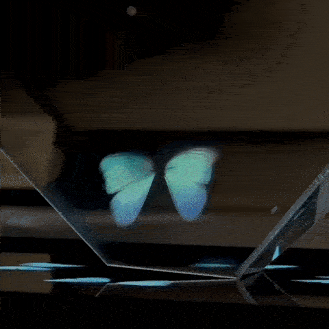 Pepper's Ghost Test Pepper's Ghost Test